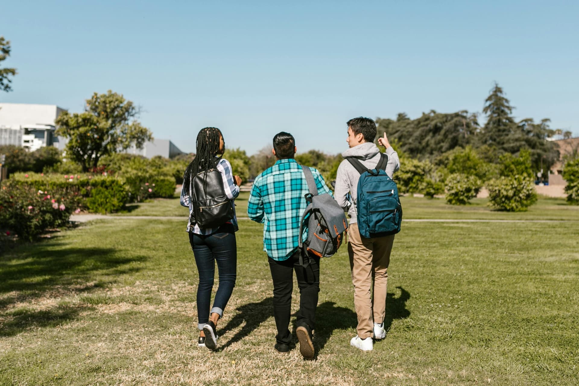 Best Neighborhoods in Raleigh for Students (Besides Campus Housing)