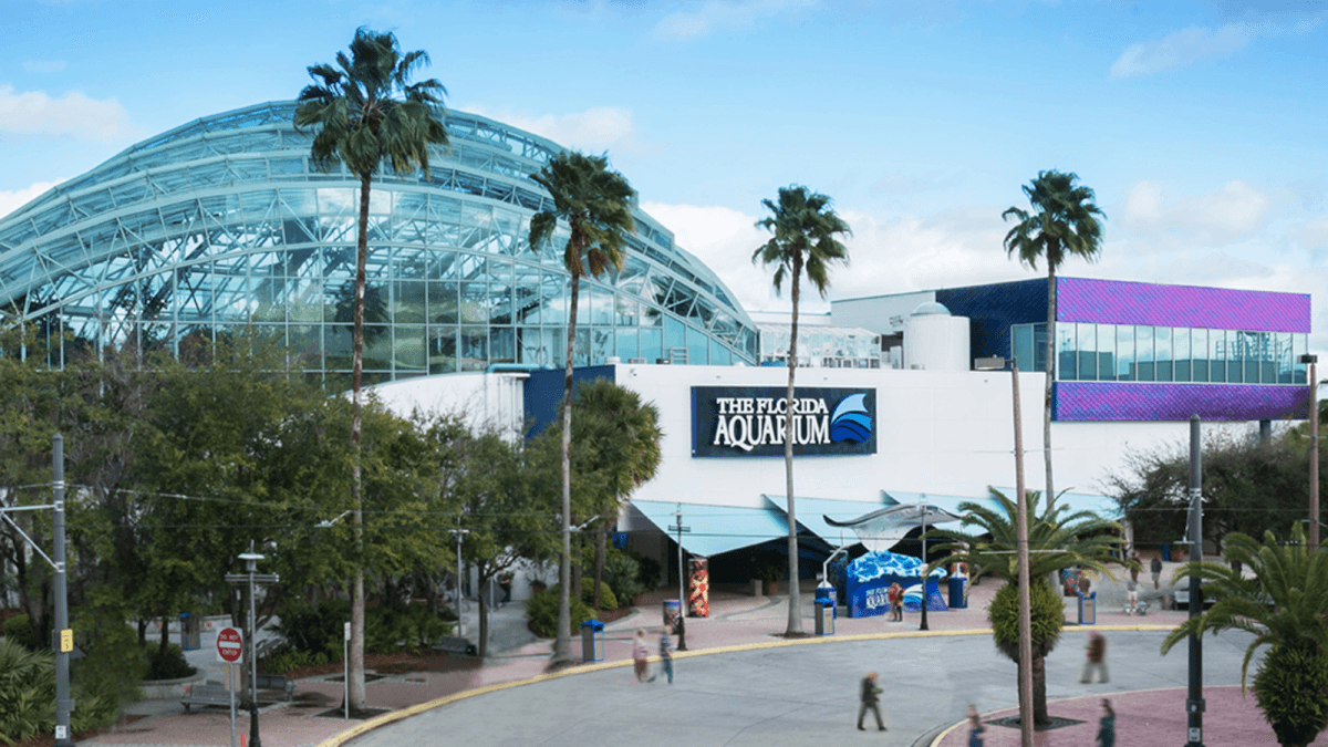 Does St. Petersburg Have Affordable Neighborhoods?