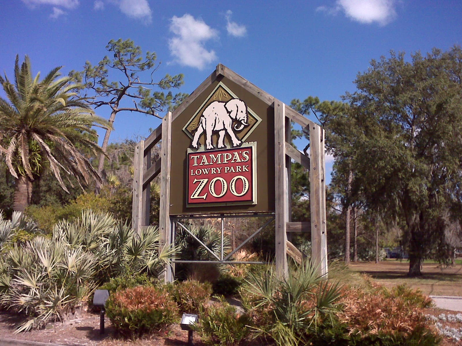 Moving to Tampa in 2026: Our Own AMA (kind of.)