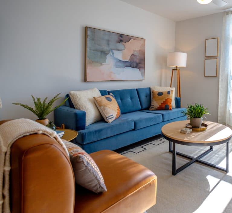 Furnished apartment living room turned and installed by Undergrads