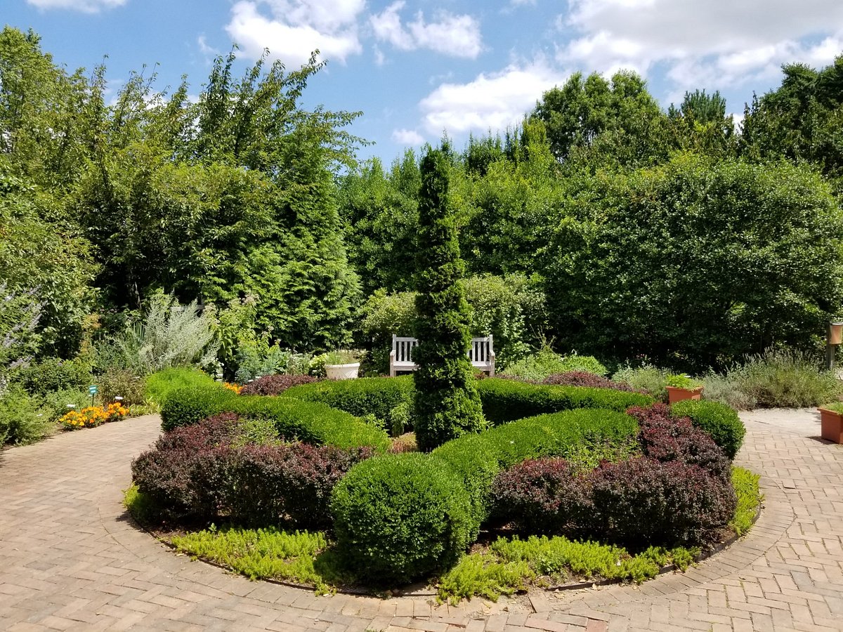 the-arboretum