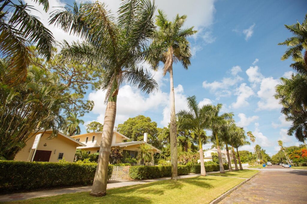 A sunny day on a residential Tampa street